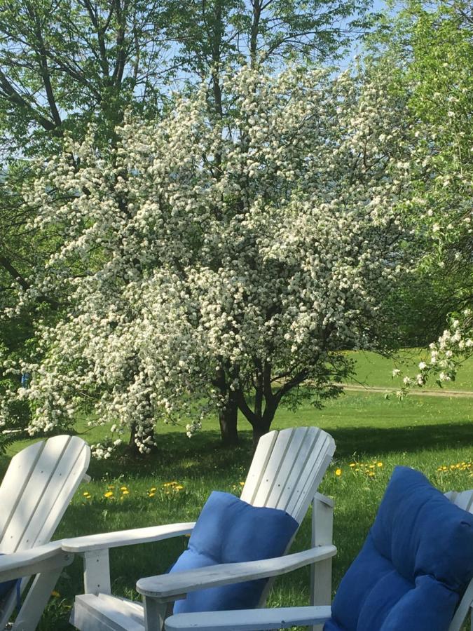Bed and Breakfast Gite Au Toit Bleu Sainte-Famille Экстерьер фото